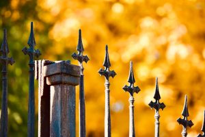 Lee más sobre el artículo Enhancing Business Security with Custom Gates in NJ